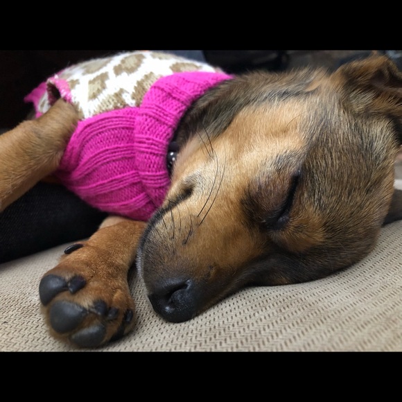 DJ - Picture 4 of 16